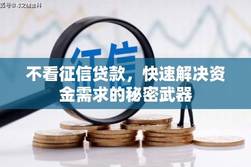 宁陵不看征信贷款，快速解决资金需求的秘密武器
