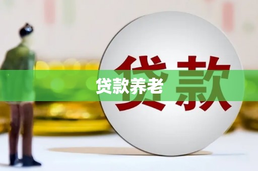 宁陵贷款养老
