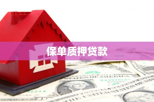 宁陵保单质押贷款