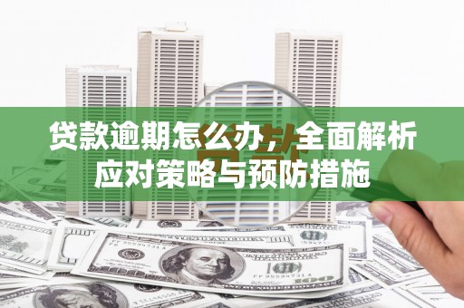 宁陵贷款逾期怎么办，全面解析应对策略与预防措施