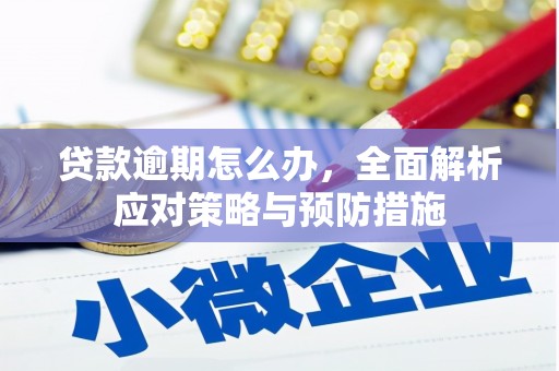 宁陵贷款逾期怎么办，全面解析应对策略与预防措施