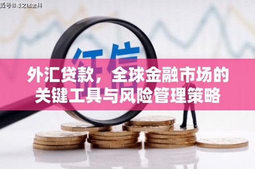 宁陵外汇贷款，全球金融市场的关键工具与风险管理策略
