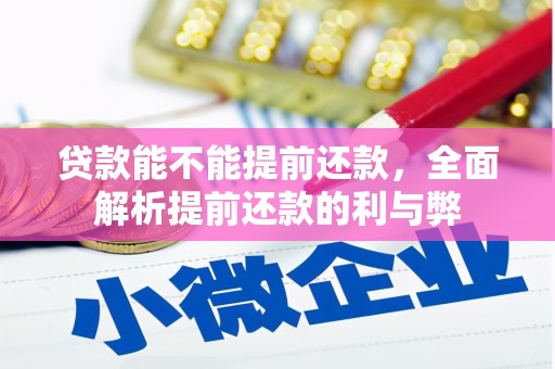 宁陵贷款能不能提前还款，全面解析提前还款的利与弊