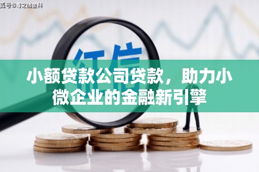 宁陵小额贷款公司贷款，助力小微企业的金融新引擎