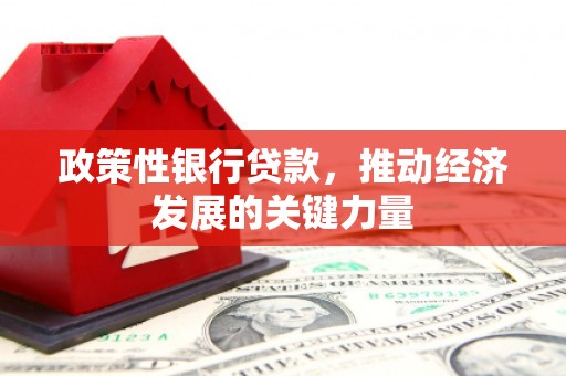宁陵政策性银行贷款，推动经济发展的关键力量