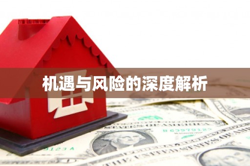 宁陵机遇与风险的深度解析