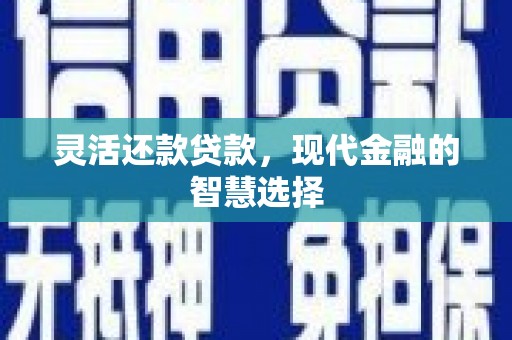 宁陵灵活还款贷款，现代金融的智慧选择