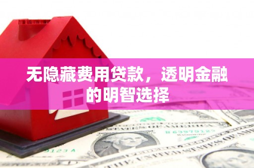 宁陵无隐藏费用贷款，透明金融的明智选择