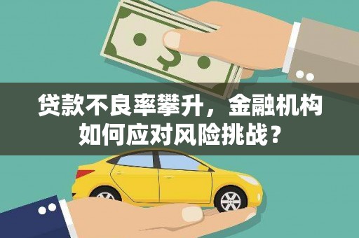 宁陵贷款不良率攀升，金融机构如何应对风险挑战？
