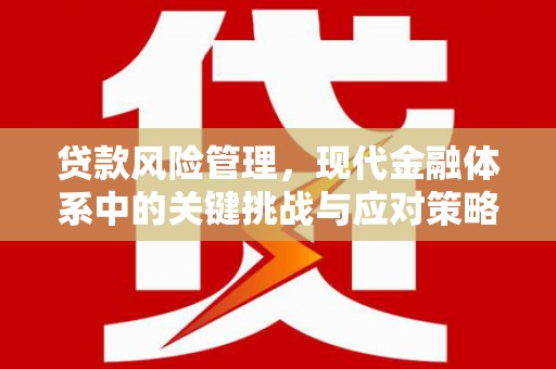 宁陵贷款风险管理，现代金融体系中的关键挑战与应对策略