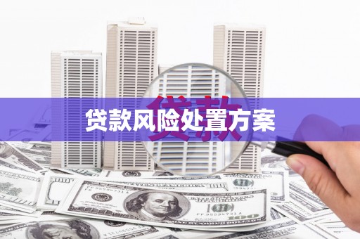 宁陵贷款风险处置方案
