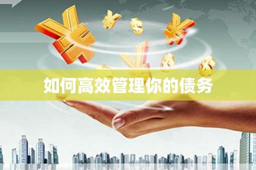 宁陵如何高效管理你的债务