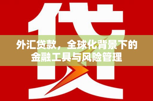 宁陵外汇贷款，全球化背景下的金融工具与风险管理
